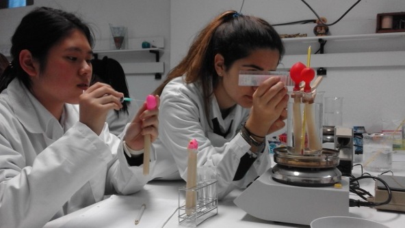 Planalto - As alunas do 10º ano no Laboratório de Biologia